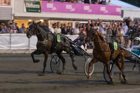 HÅRT I mål i Ringmurens lopp. Utvändige Dollar Dóc och Jörgen S Eriksson hann fram till seger. Jesper Hammarlund, TR Bild 